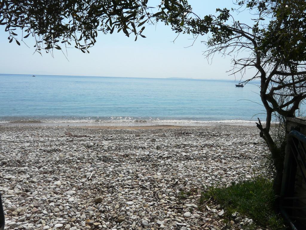 Villa Aliki Μπαρμπάτι Εξωτερικό φωτογραφία
